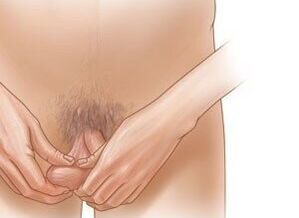 Jogging exercises to increase penis
